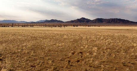 Fototapeta na wymiar Panoramic view of Twyfelfontein landscape