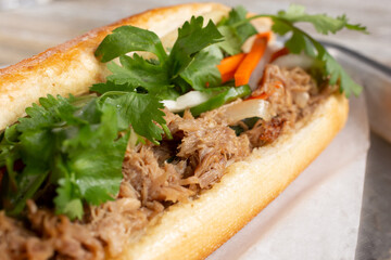 A closeup view of a pork banh mi sandwich.