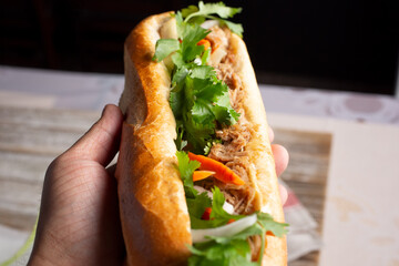 A view of a hand holding a banh mi sandwich.