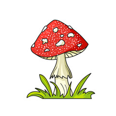 Fly agaric. Vector illustration in the cartoon style. Isolated on a white background.