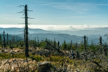 Obraz premium Polish mountains in Silesia Beskid in Szczyrk. Skrzyczne hill inPoland in autumn, fall season aerial drone photo