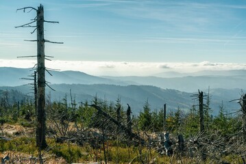 Polish mountains in Silesia Beskid in Szczyrk. Skrzyczne hill inPoland in autumn, fall season aerial drone photo