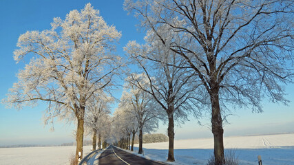 Winterstrasse