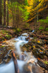 Wild stream in a forest at autumn. The Vratna valley in Mala Fatra national park, Slovakia, Europe.