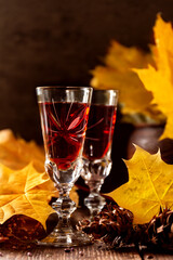 Autumn or winter alcohol drink. Ingredient for alcohol cocktails - mulled wine, glogg, grog, eggnog, ginger ale, hot buttered rum, punch, apple cider, sangria, black background