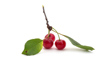 Cerises