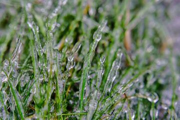Ice crystals on the green grass after the freezing rain