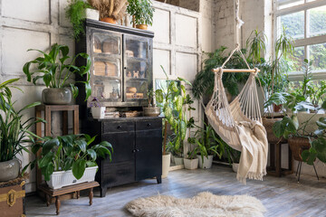 Cozy rope swing in living room with houseplants