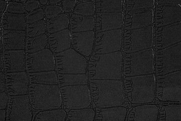 Background of the black skin of a crocodile. Alligator patterned background. Wet crocodile leather pattern.
