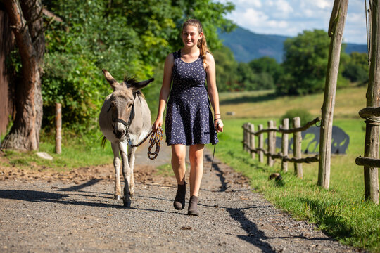 H&uuml;bsches M&auml;dchen wandert mit Esel