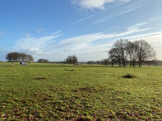 Tatton Park in Cheshire in the Autumn Sunshine