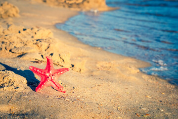 Fototapeta na wymiar Tropical beach with toy starfish in the sand, copy space for text. Summer vacation concept. Copy space