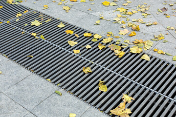 grating of the drainage storm system on the pedestrian park.sidewalk made of gray stone granite tiles and an iron storm cover with autumn yellow leaves on the floor, nobody.