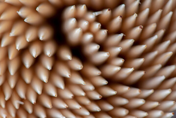 Abstract background from toothpicks photographed close-up.