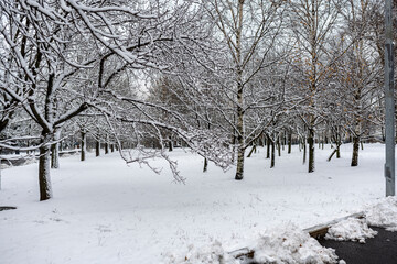in a city park after the first snow at the beginning of winter