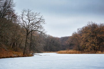 Naklejka na ściany i meble Frozen lake. Winter deciduous forest, oaks. 