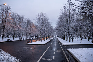 in a city park after the first snow at the beginning of winter