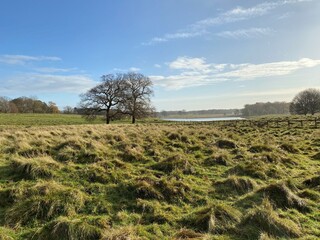 Tatton Park in Cheshire in the Autumn Sunshine