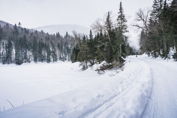 Fototapeta na wymiar Snowy landscape in Jacque Cartier National Park, Quebec