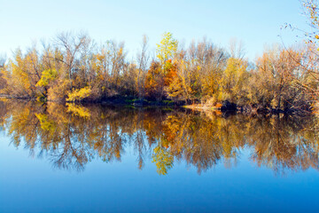 autumn forest reflected in the calm waters of a lake makes a mirror effect