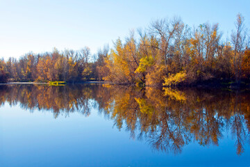 autumn forest reflected in the calm waters of a lake makes a mirror effect