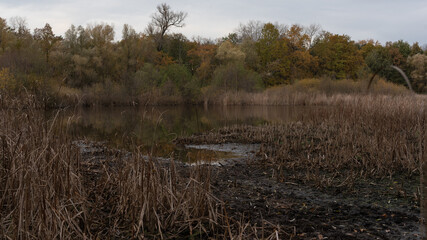 Autumn landscape with a lake