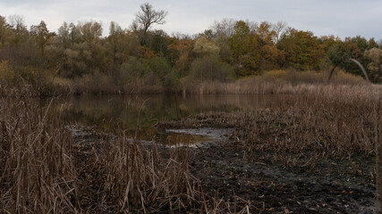 Fototapeta premium Autumn landscape with a lake