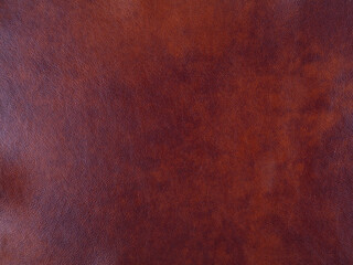 Brown cattle leather texture background