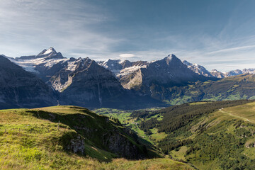 Panorama de la Vallée de Grindelwald en été