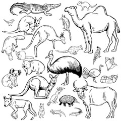 Animals and birds of Australia.