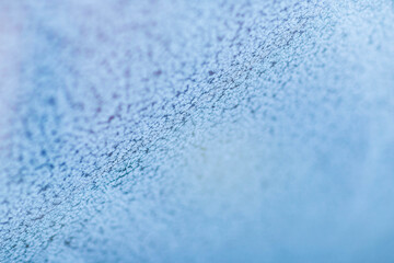 frost patterns on car Windows