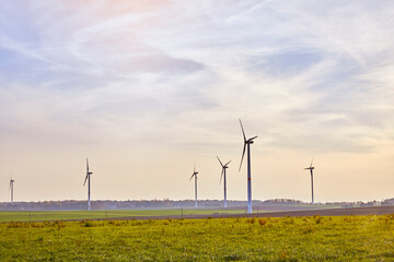Fototapeta champs éoliennes en Belgique  obraz