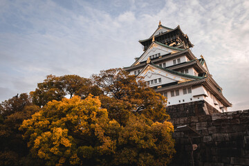 Naklejka premium Osaka Castle - Japan