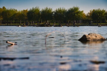 
Flock of lakes above the lake