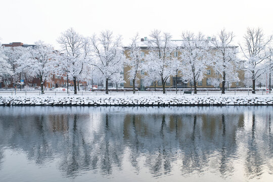Winter trees reflecting in water, Sweden