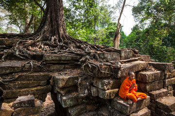 Novice monk meditating, Cambodia