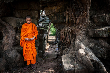 Novice monk meditating, Cambodia