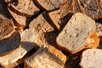 Rotting bread leftovers for organic soil or animal food.