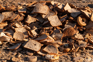 Rotting bread leftovers for organic soil or animal food.