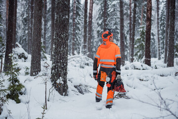 Lumberjack in forest, Sweden