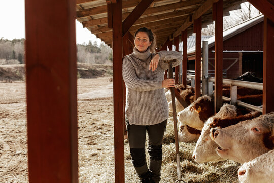 Woman in cowshed, Sweden