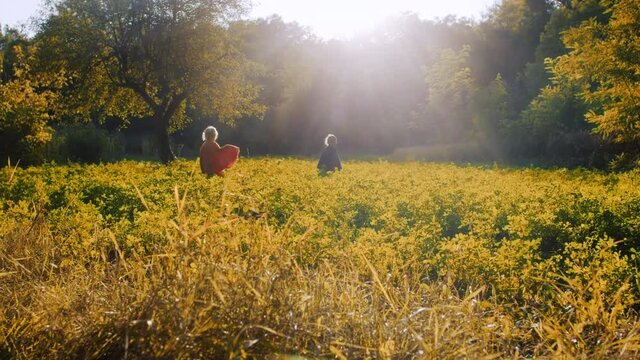 Two little toddler boys cosplay gnomes or hobbits in long capes in green forest. Halloween, kids concept. Amazing golden hour light. Slow motion. 