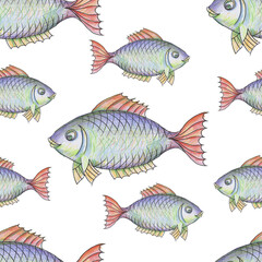 
Fish watercolor illustration hand-drawn. Fish, underwater world, lake, sea, river, fishing, fishing. Separate element on a white background. Sweetheart, baby