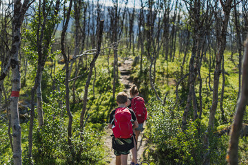 Children walking through forest, Sweden