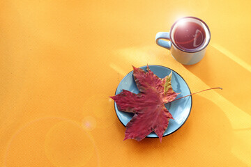 A blue Cup with a sun glare, a plate with a red autumn leaf on a yellow background in the sun, a top view-the concept of good autumn days