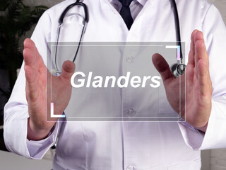 Glanders  sign on the piece of paper.