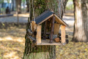 Bird and squirrel feeder hanging on a tree in the park