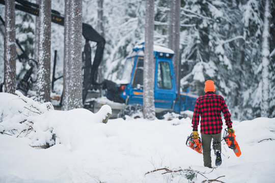 Lumberjack in forest, Sweden