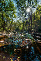 Waterfall green forest river stream landscape