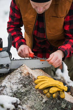Lumberjack in forest, Sweden